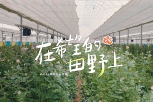 LPL发布Meiko助农公益短片：田野怀着责任，助力家乡花卉产业发展