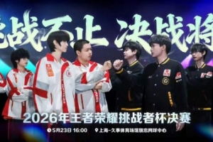皖皖杨戬一技能精准释放切C输出拿下胜利 狼队 4-3 AG