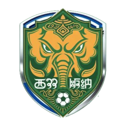 西双版纳队队徽